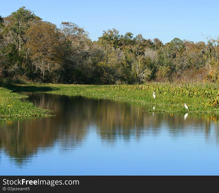 Scenic Waterway