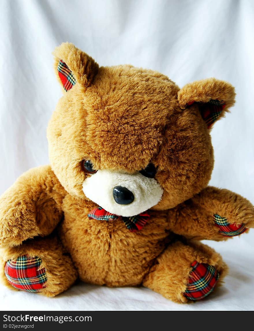 Toy brown bear