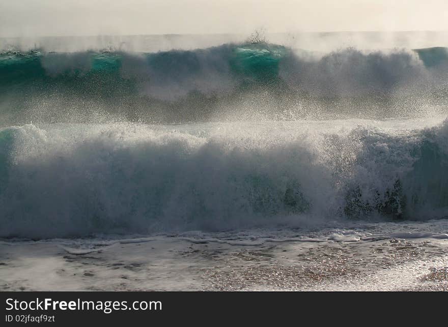 Playful Ocean