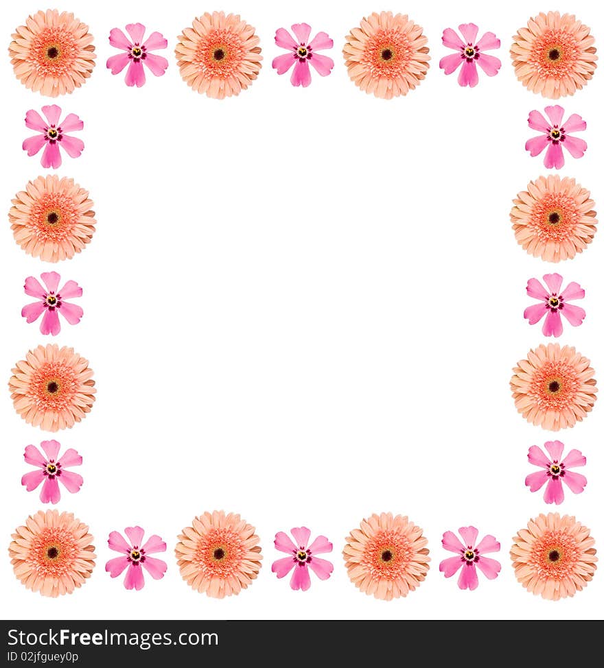 Frame made from orange gerbera and pink flower. Frame made from orange gerbera and pink flower