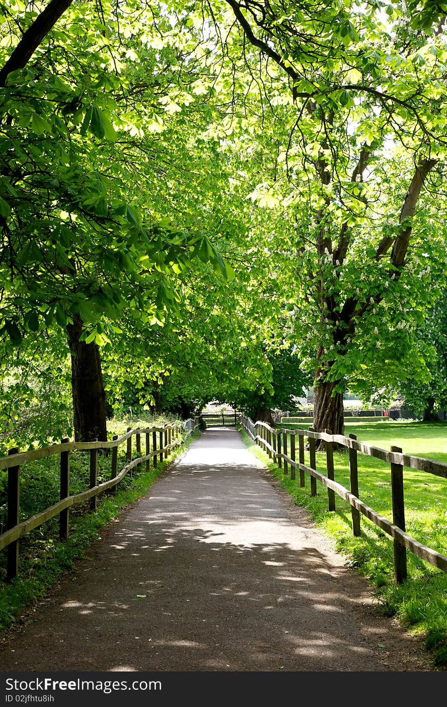 Path through woods in sunshine. Path through woods in sunshine