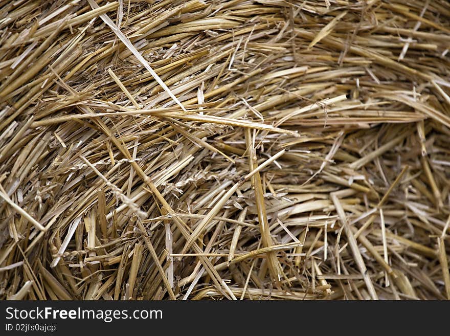 Straw background, abstract texture with wheat