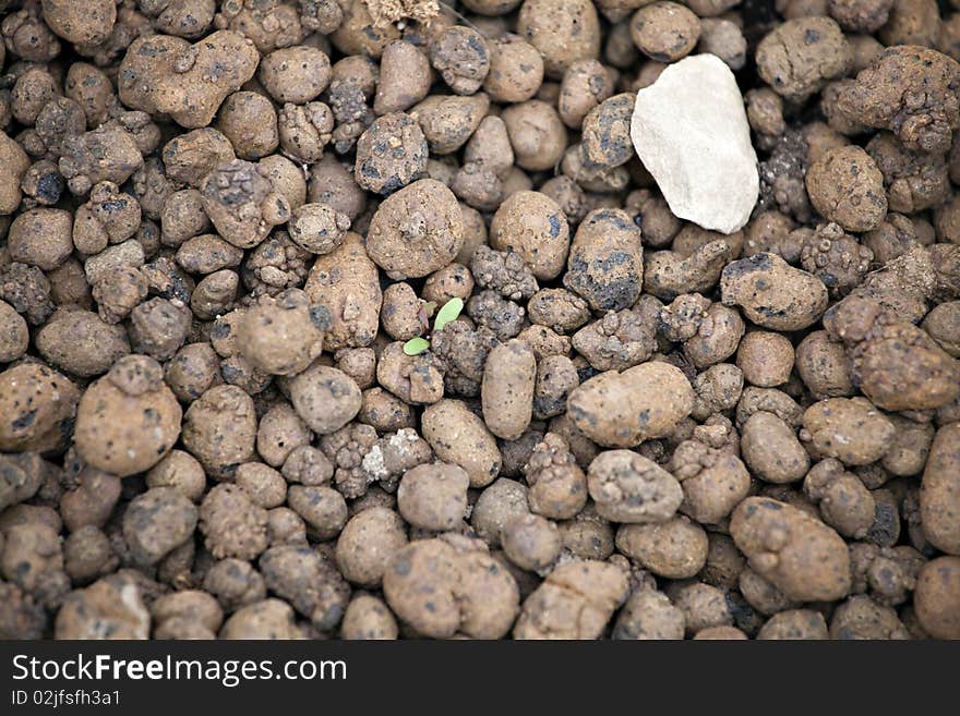 Stones background, detail of garden