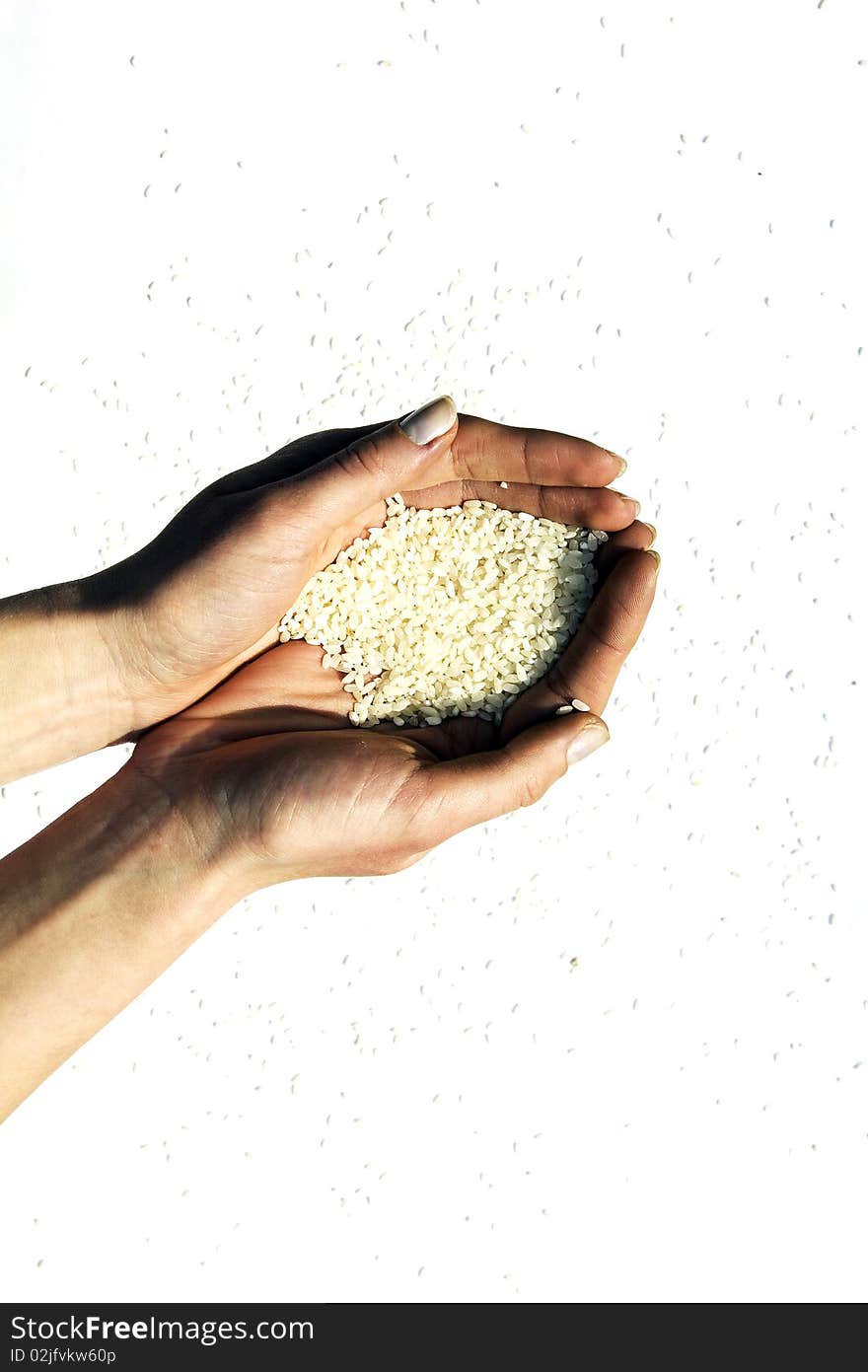 White rice laying in hands of the girl, and scattered on a white background. White rice laying in hands of the girl, and scattered on a white background