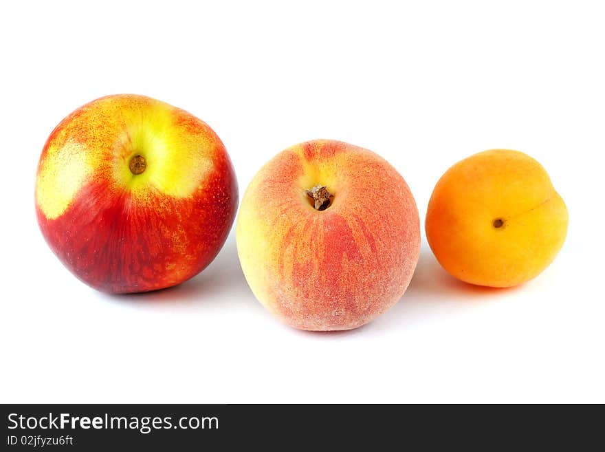 Nectarine, peach and apricot