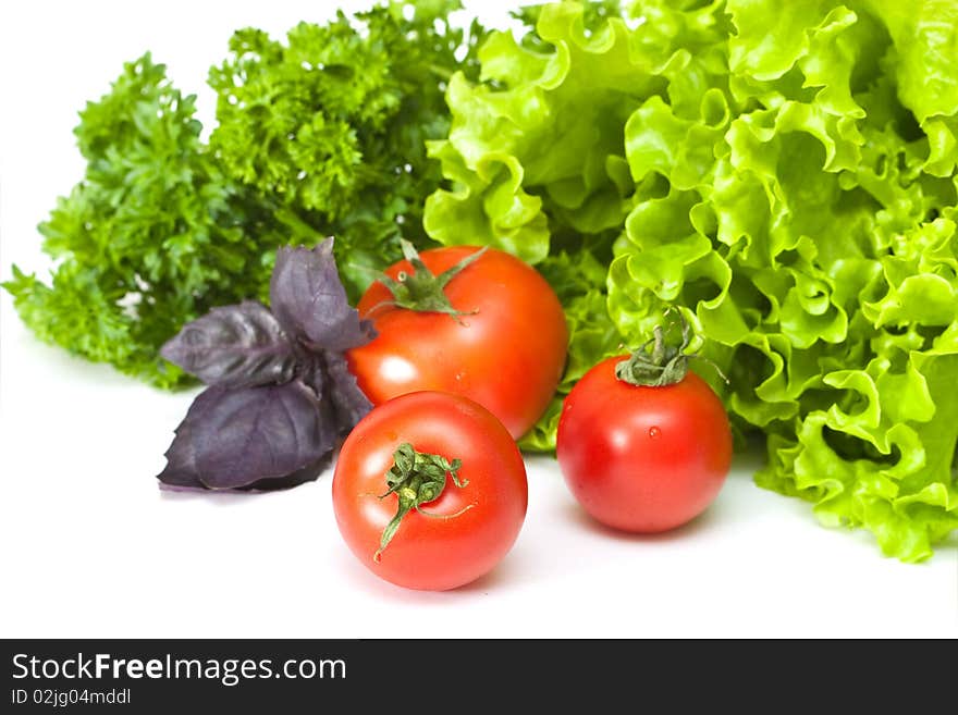 Tomatoes with salad and basil on a white background