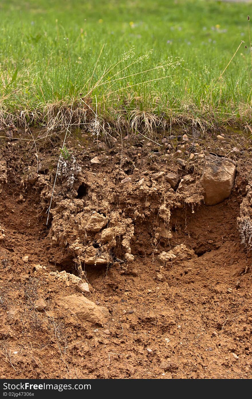 Grass Bedding