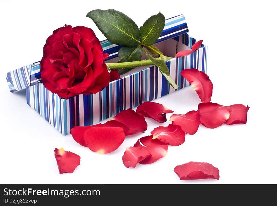 Roses in a box of gifts offered to the beloved. Roses in a box of gifts offered to the beloved