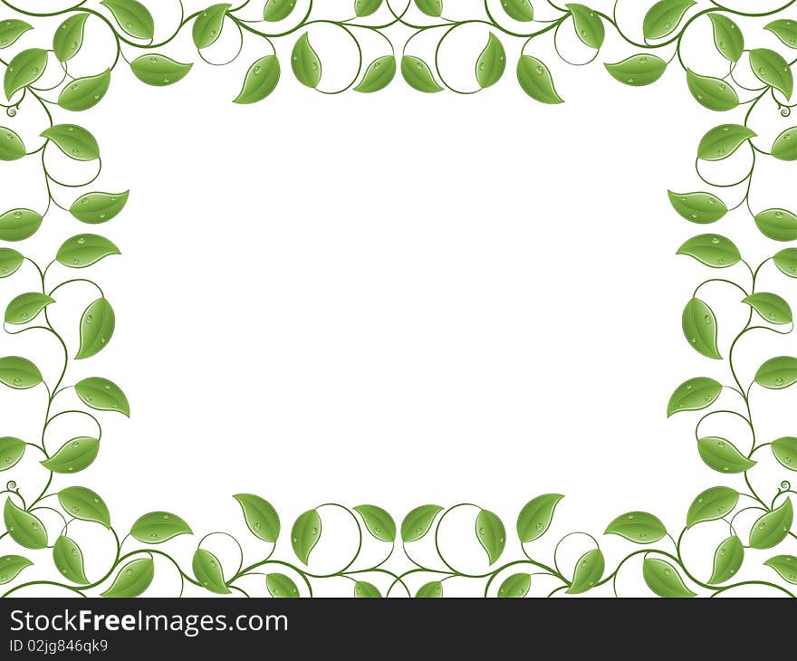 Floral frame with a green leaves. Vector illustration.