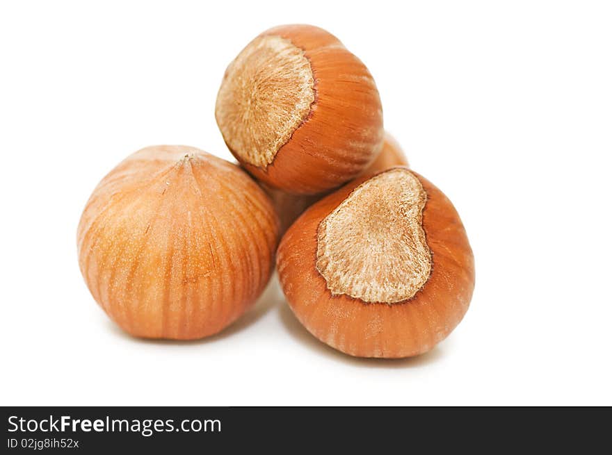 Heap of hazelnuts on white background