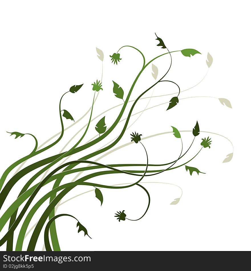 Floral Background,  leaves