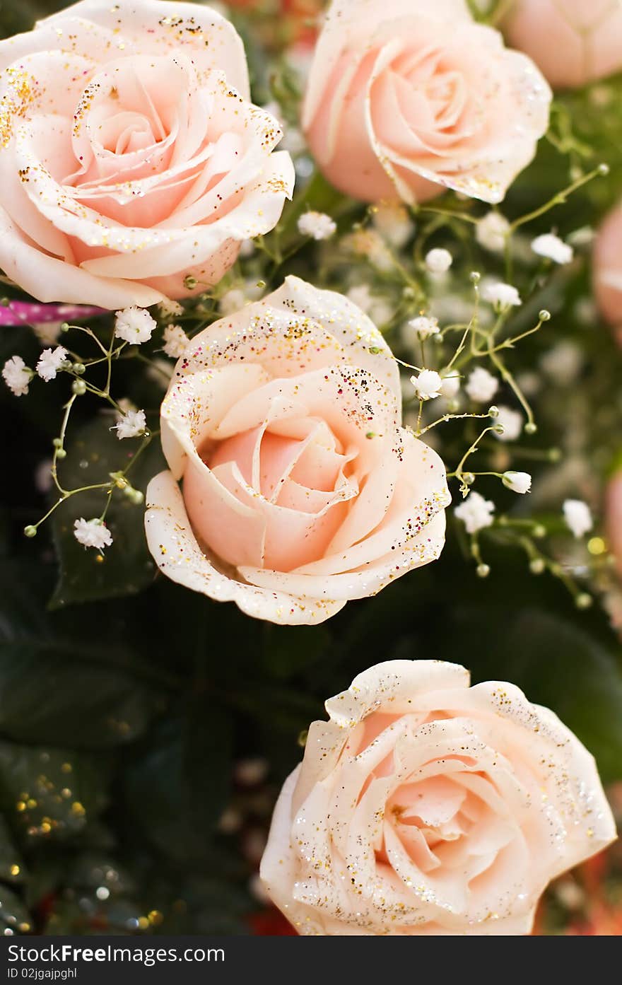 The big bouquet of pink roses background