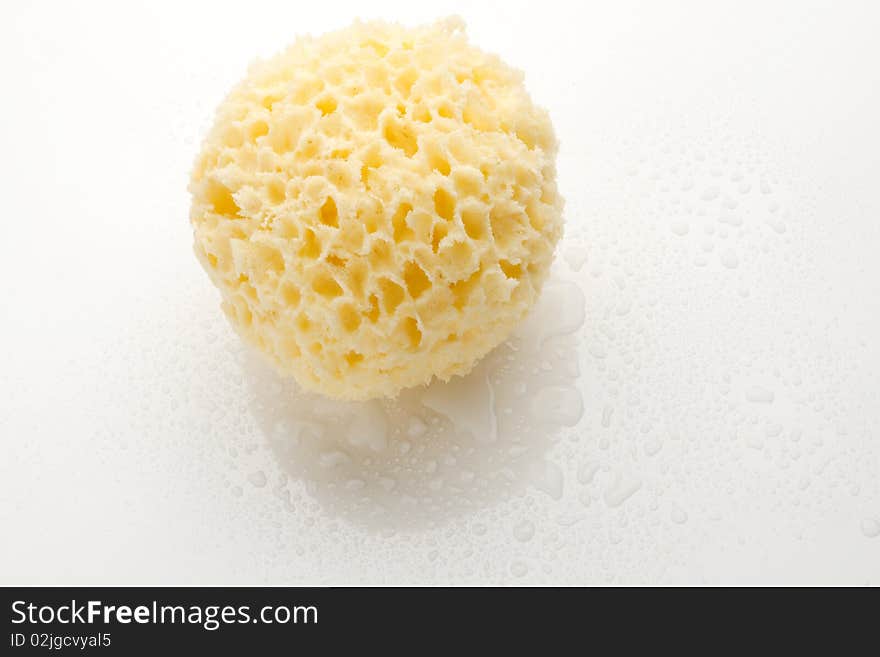 Bath Sponge