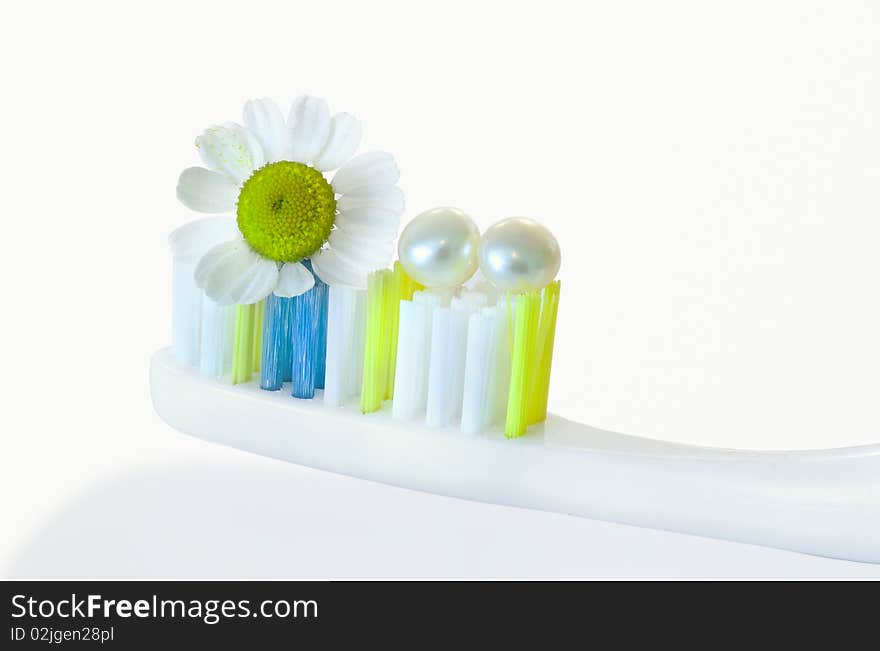 Toothbrush and a camomile on a white background. Toothbrush and a camomile on a white background