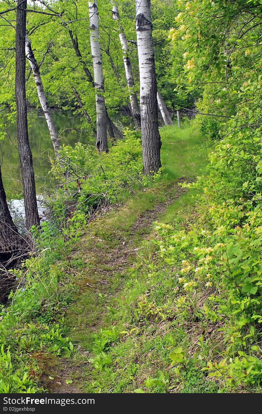 Rice Lake in the Whitewater Segment of the Ice Age Trail in Wisconsin