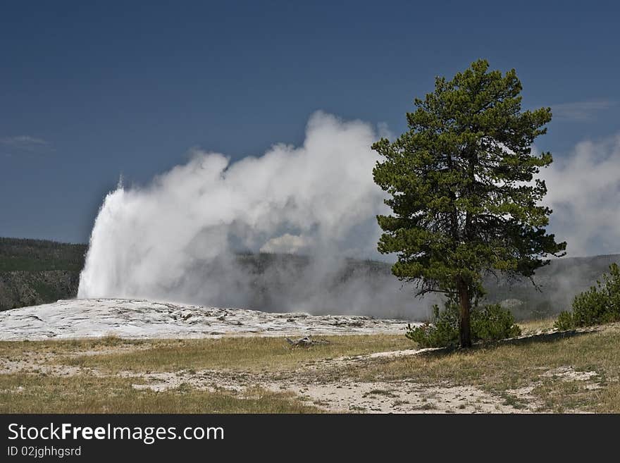 Geyser