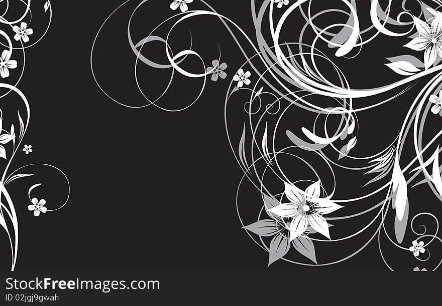 Black and white floral abstraction