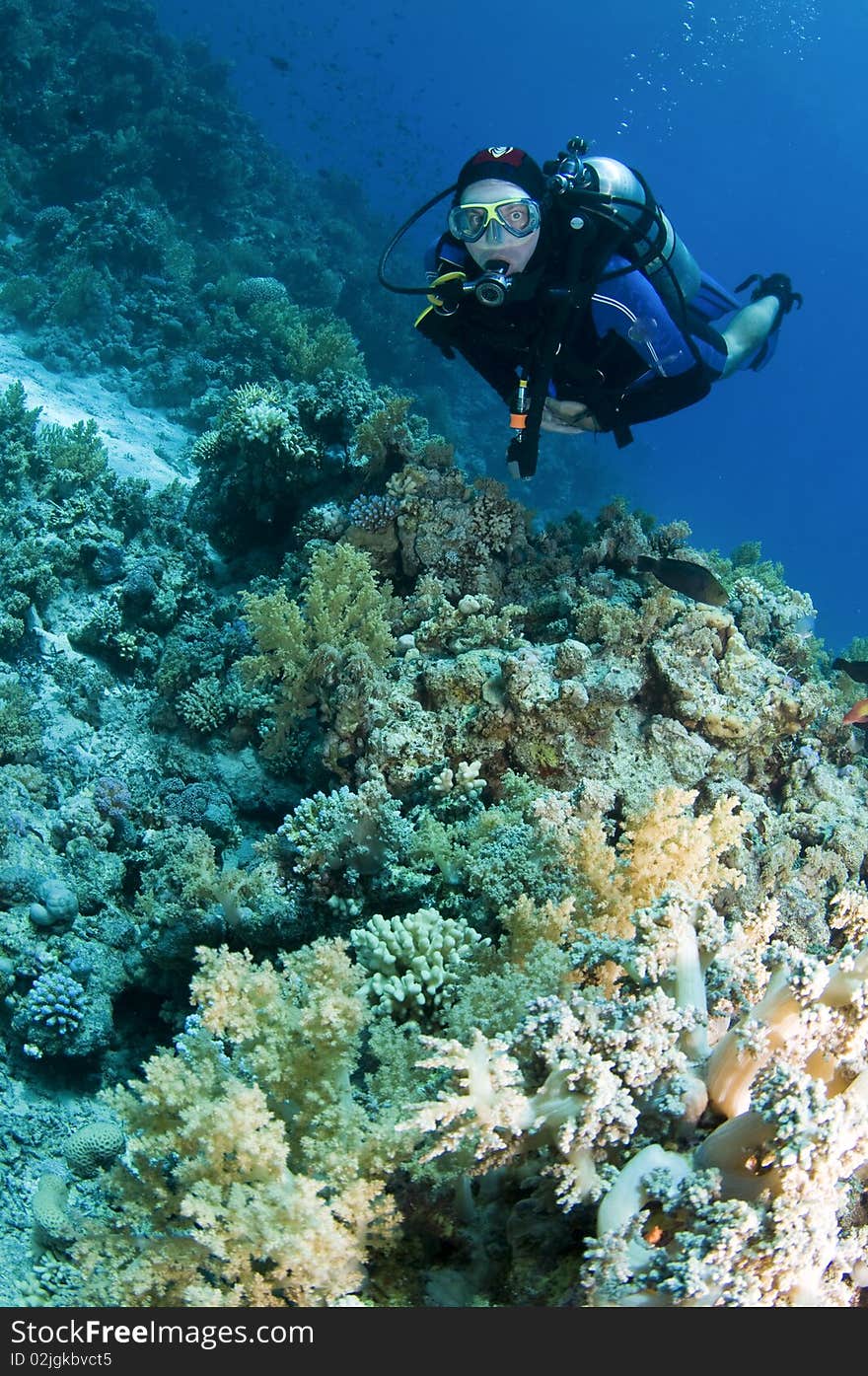 Scuba diver on coral reef