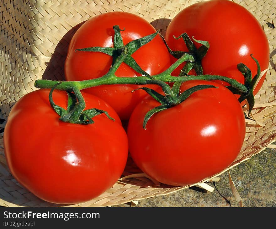 Fresh Tomatoes