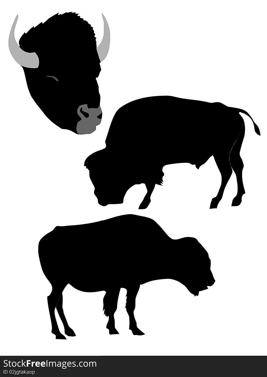 Vector black silhouette of bison