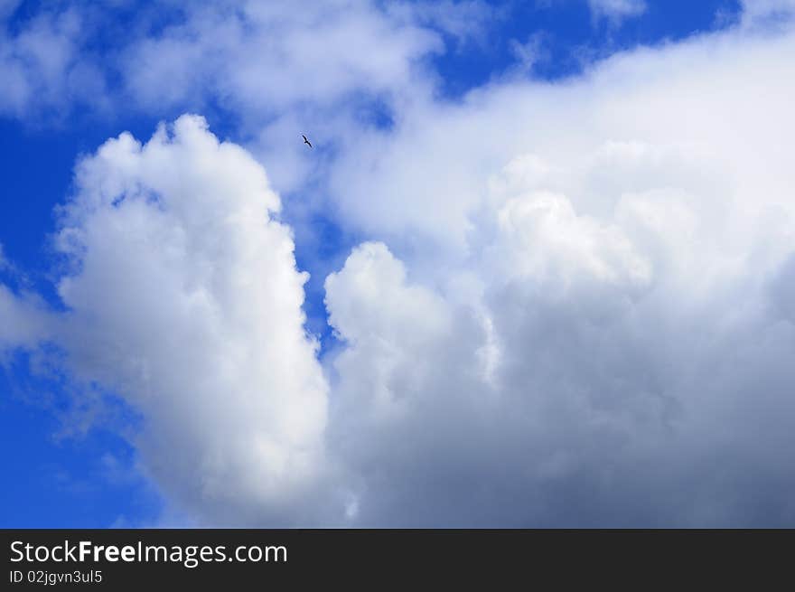 Beautiful clouds and blue sky in spring season. Beautiful clouds and blue sky in spring season