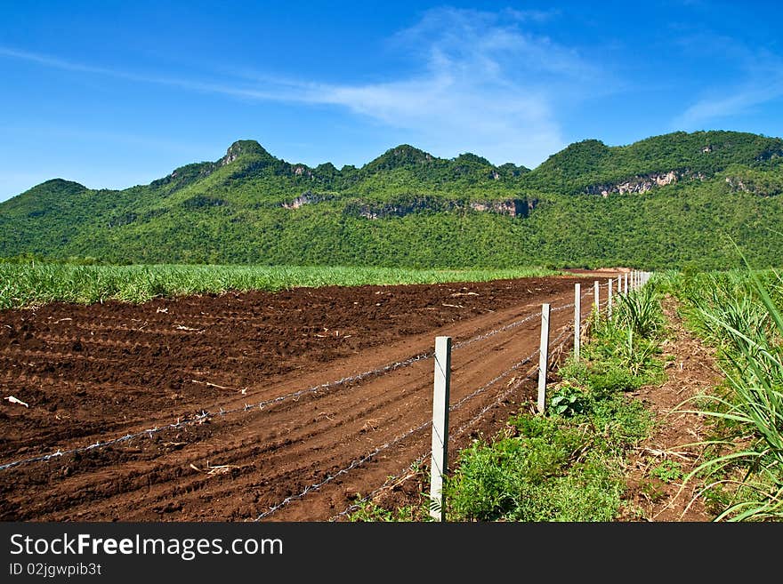 Prepare an Agricultural Land Management Plan. Prepare an Agricultural Land Management Plan