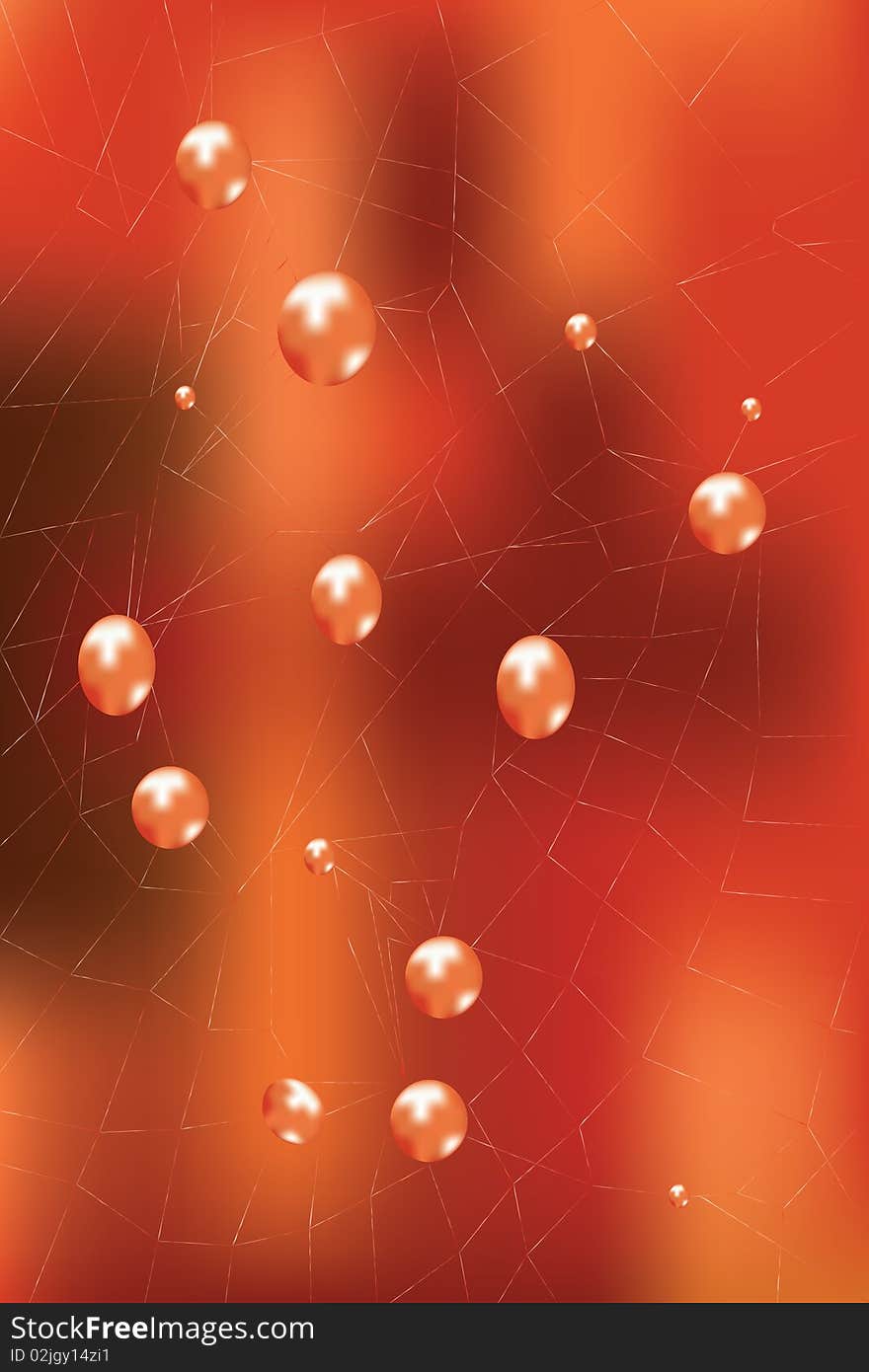 Spider Web with Water Drops