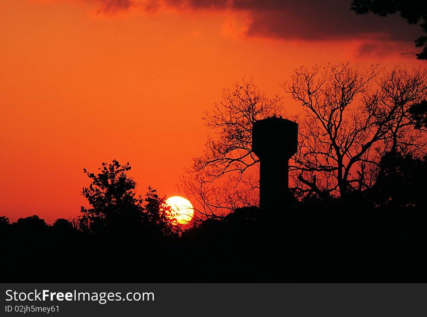 Sunset In Orange