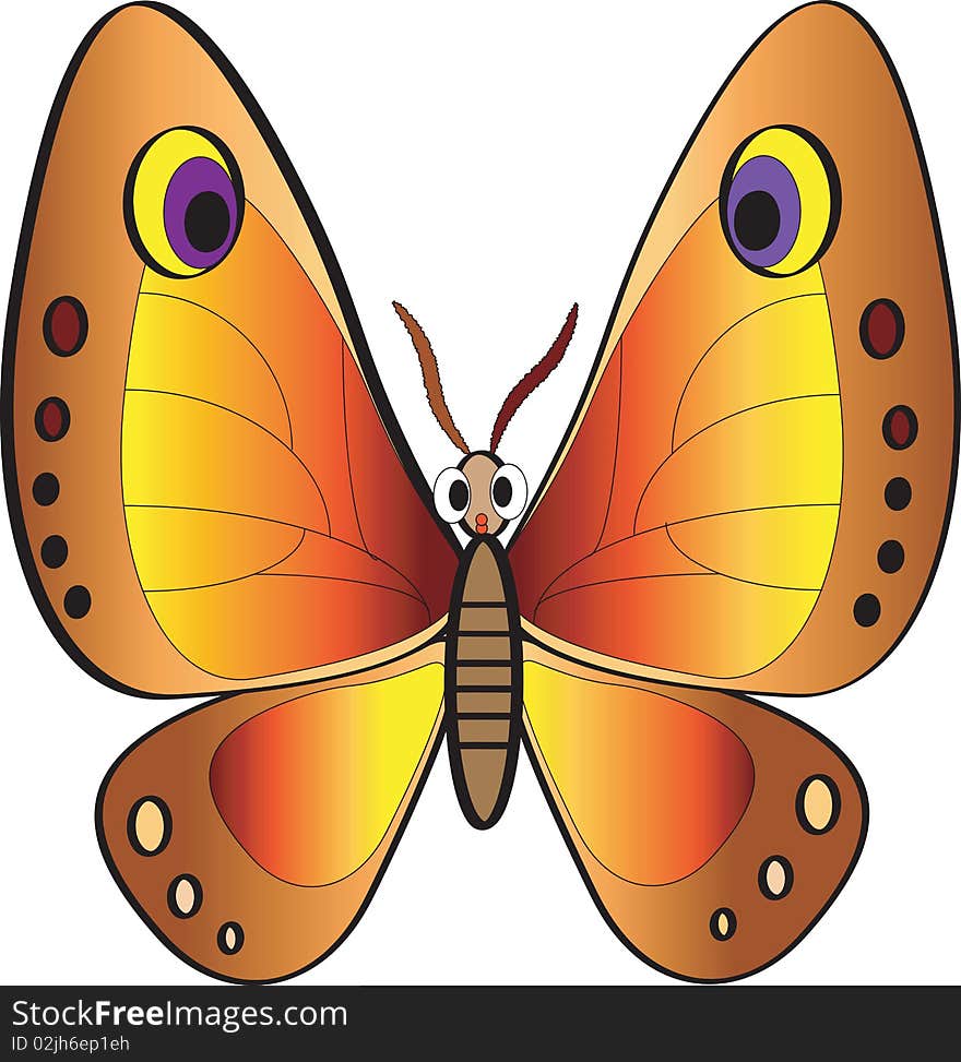 Orange butterfly at the white background. Orange butterfly at the white background.