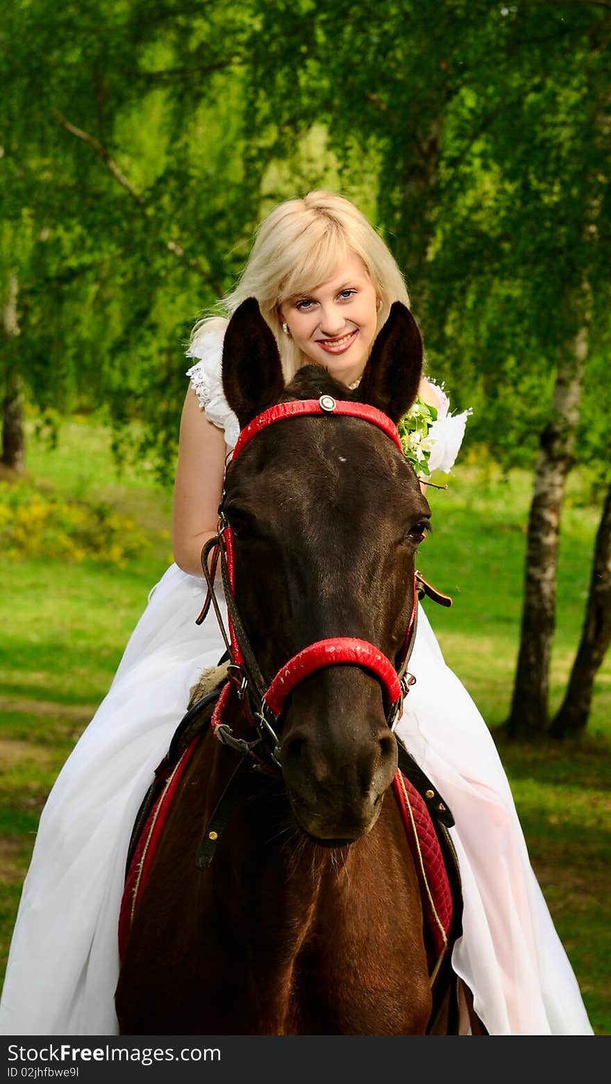 Portrait of the bride