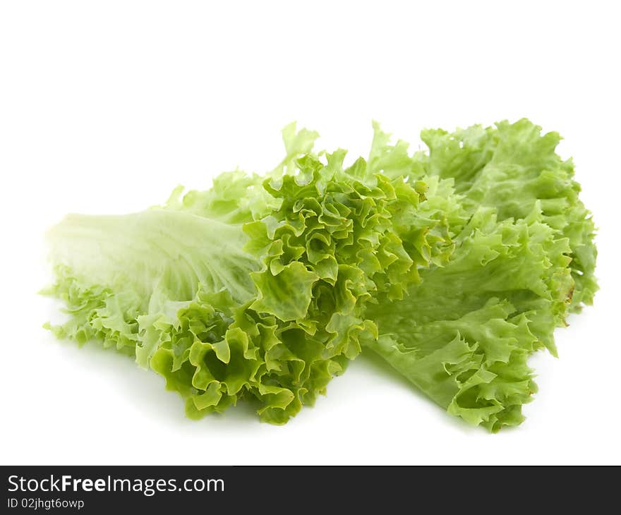 Fresh lettuce leaves