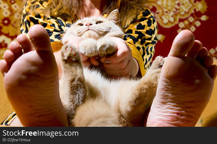 Portrait of woman and cat