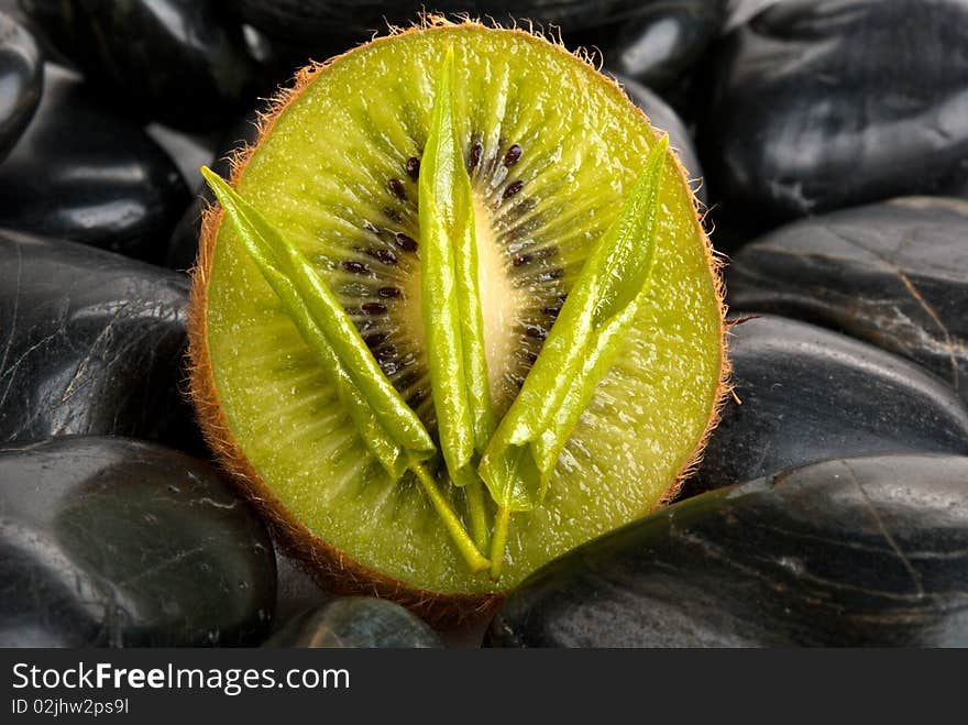 Tree leaflets, half kiwi and stones