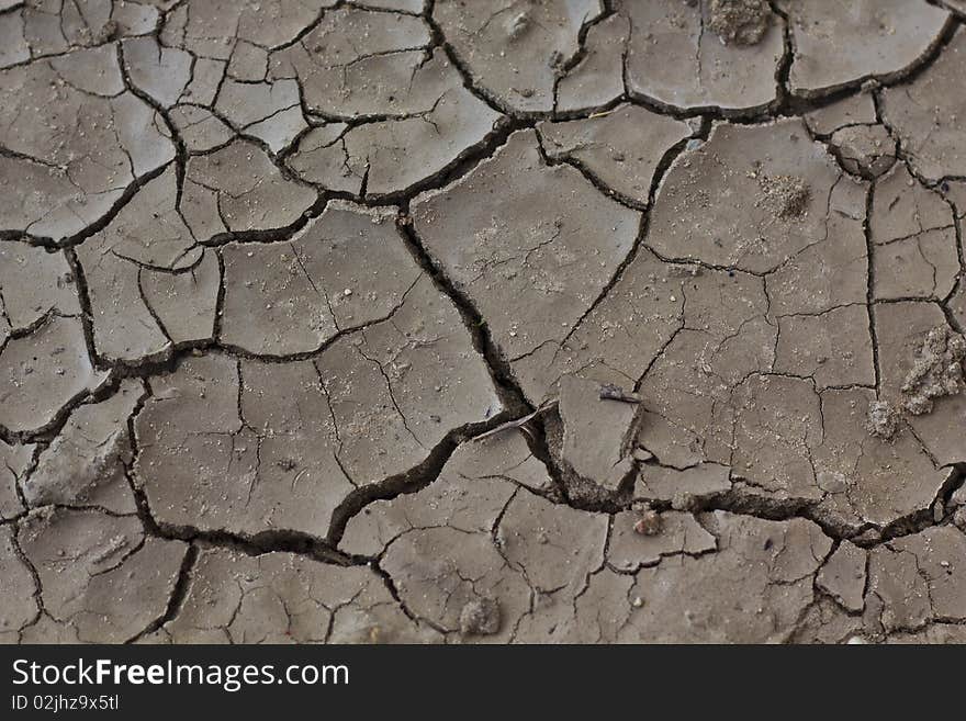 Arid ground with cracks