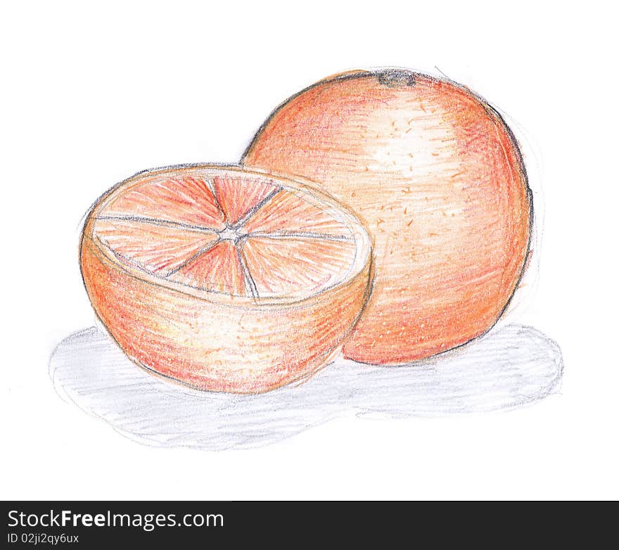 Orange hand drawn illustration on white background