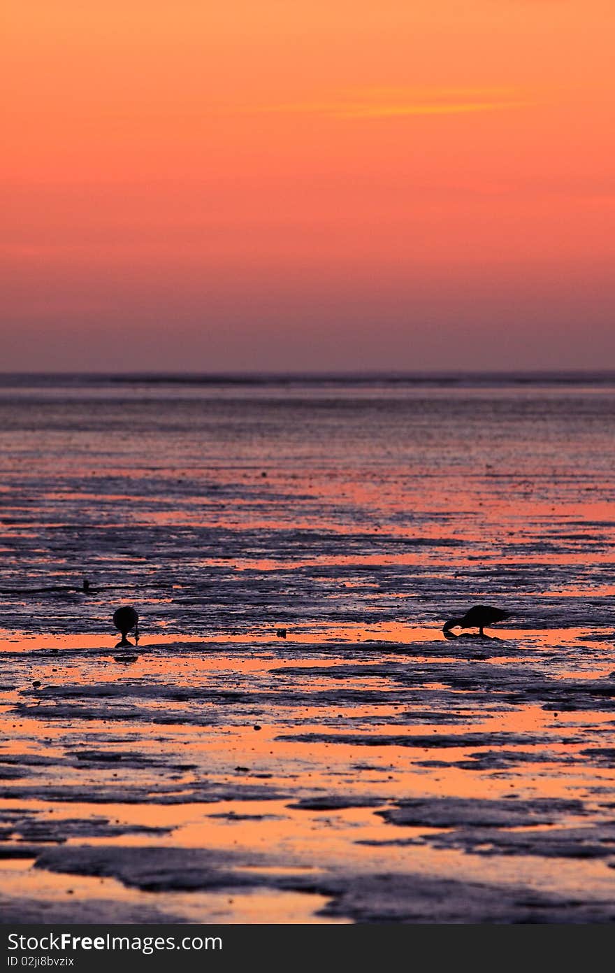 Reflection Of The Sunset In The Ocean