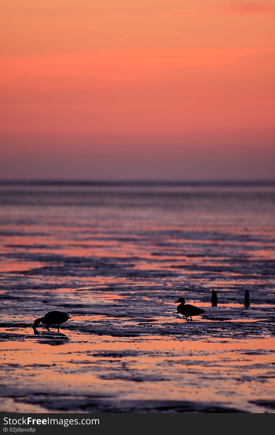 Reflection of the sunset in the ocean