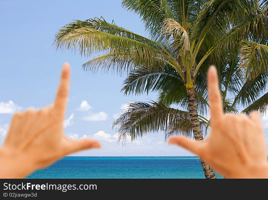 Hands Framing Palm Trees and Inviting Tropical Waters. Hands Framing Palm Trees and Inviting Tropical Waters.