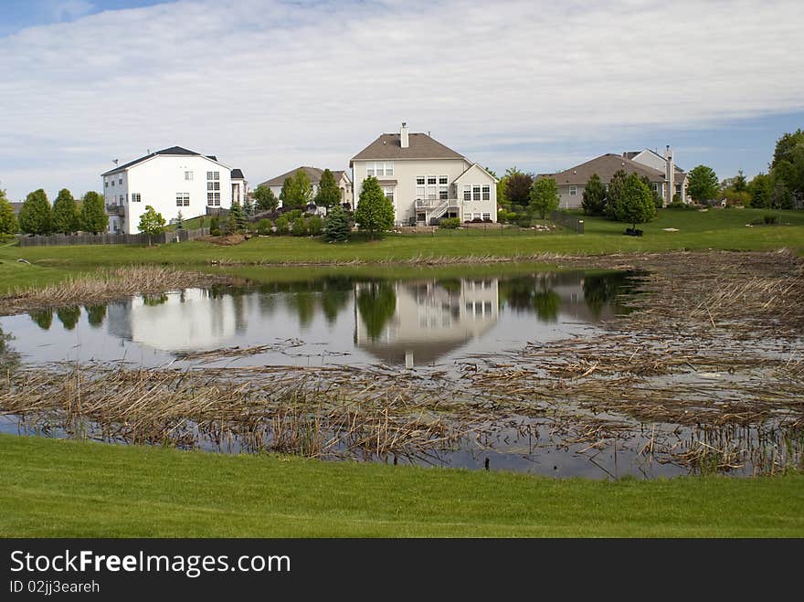 Suburban neighborhood reflected in still waters of reed lined pond. Suburban neighborhood reflected in still waters of reed lined pond.