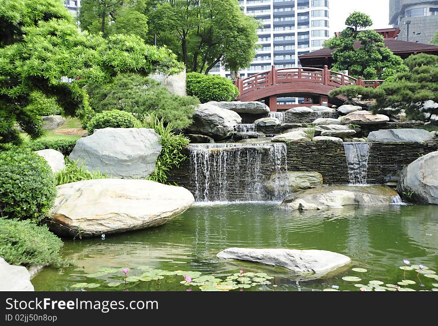 Garden in China,green plant