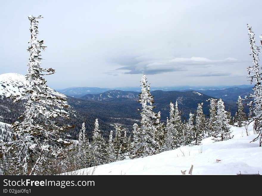 Sunny Winter Day In Mountain