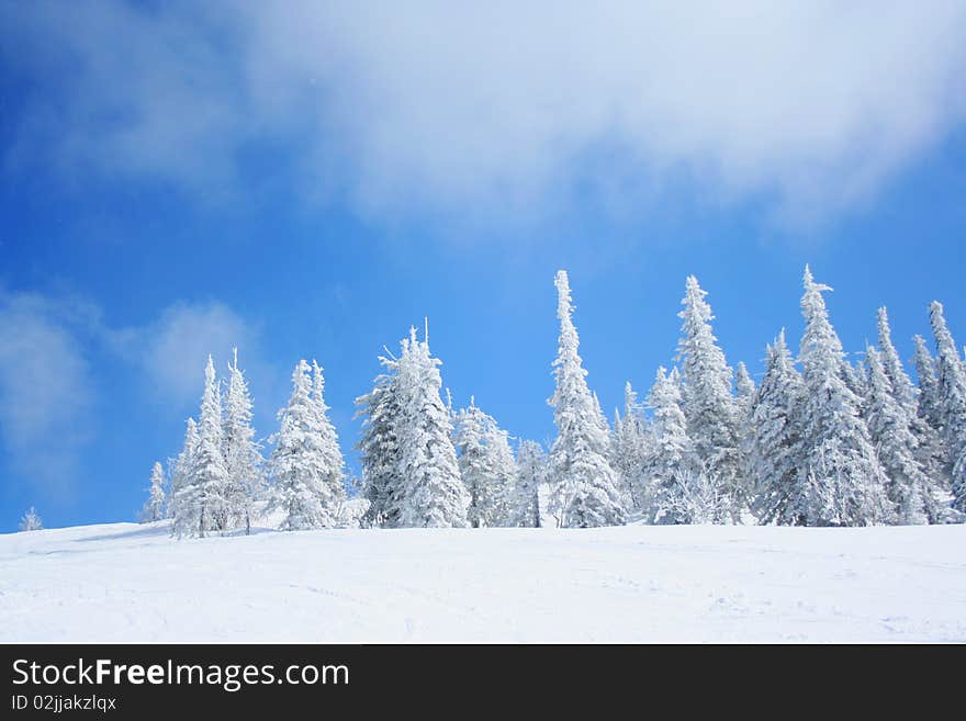 Sunny winter day in mountain