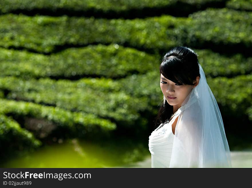 Bride portrait