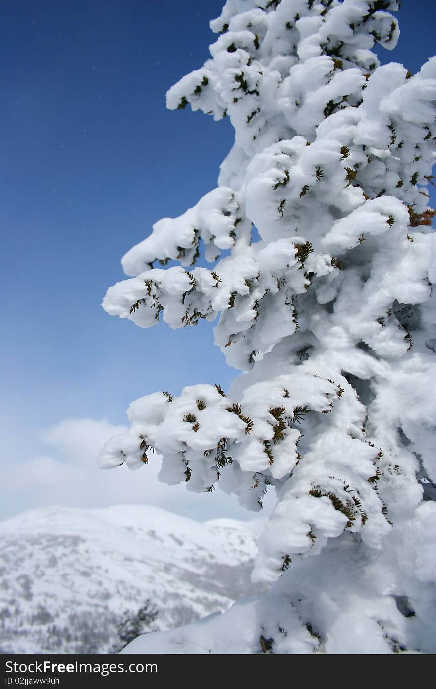 Sunny winter day in mountain