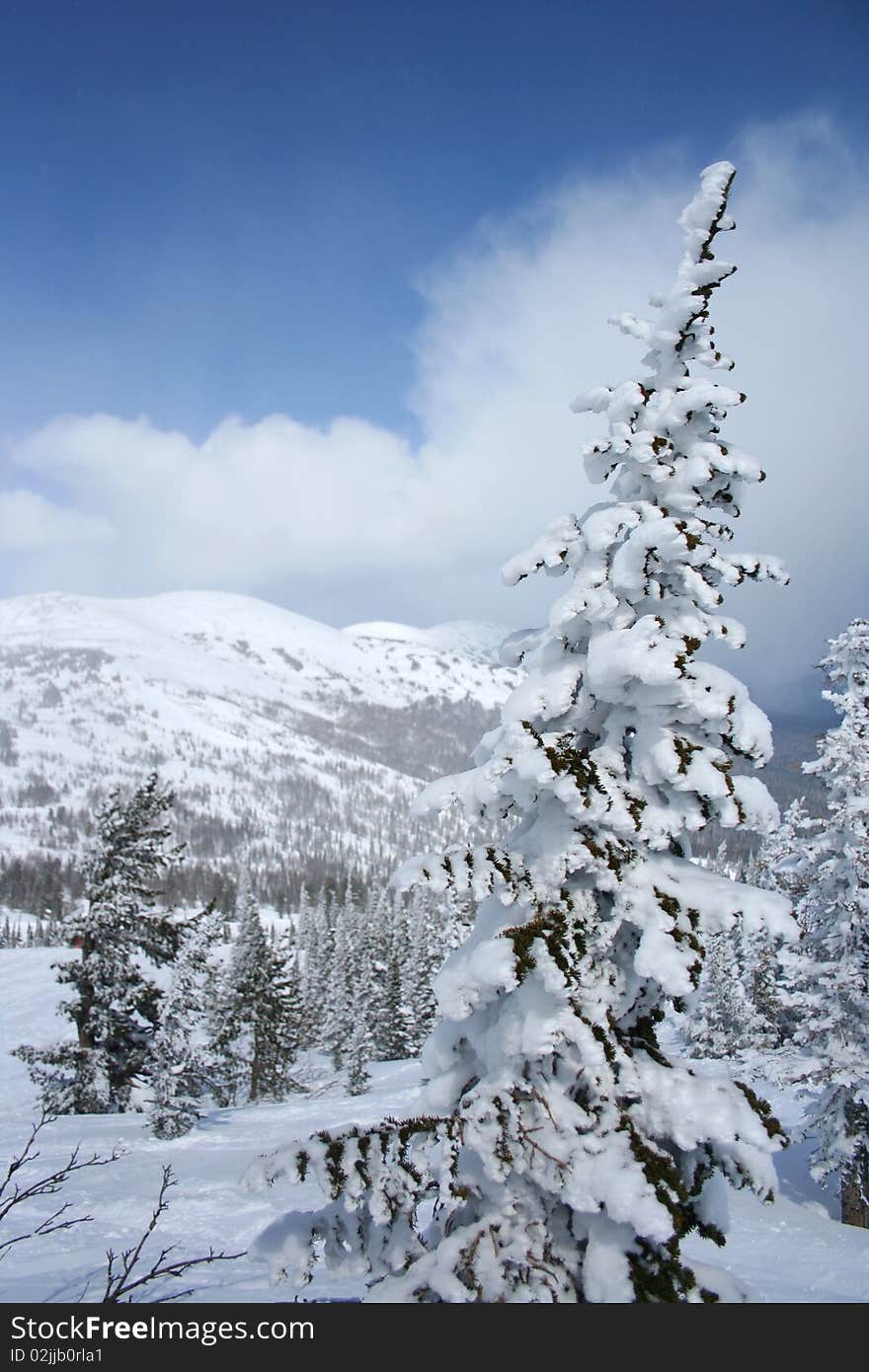 Sunny winter day in mountain