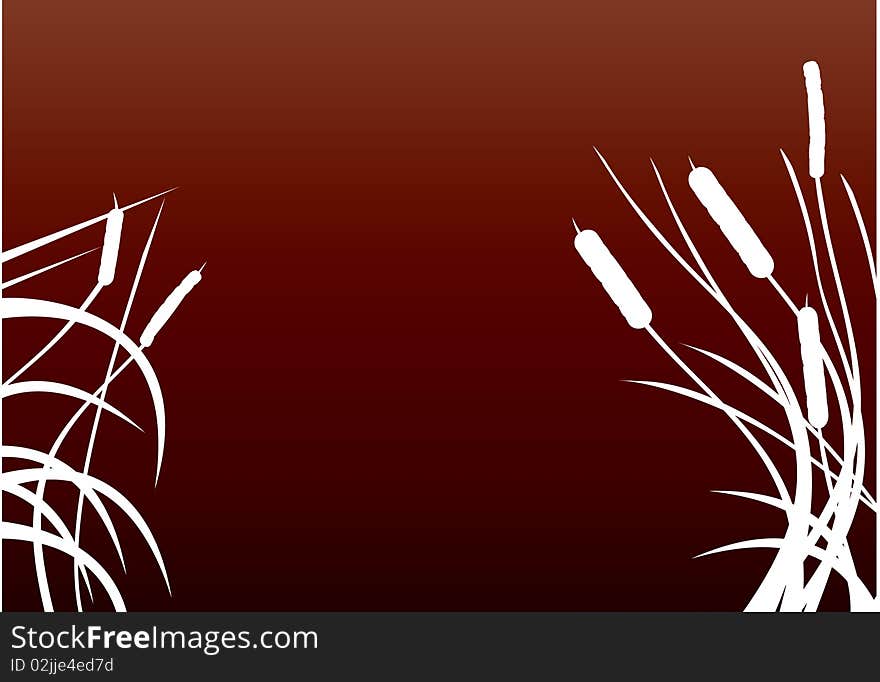 White grass bushes on a brown background. White grass bushes on a brown background