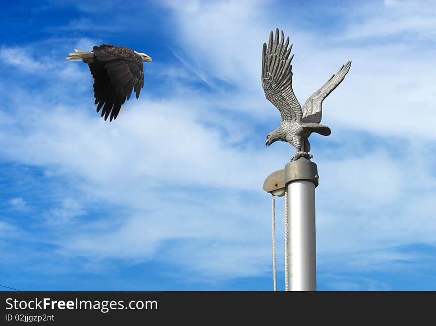 Eagle With Flag Pole