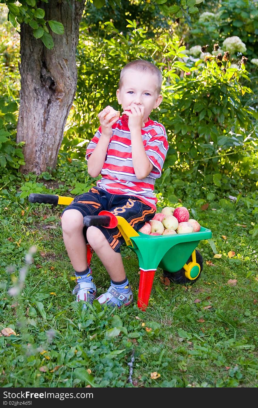 Boy with apples