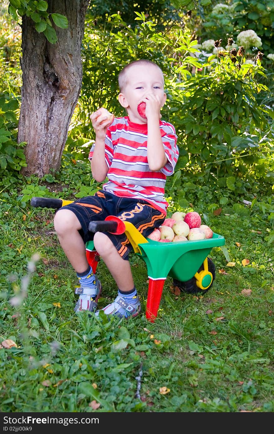 Boy With Apples