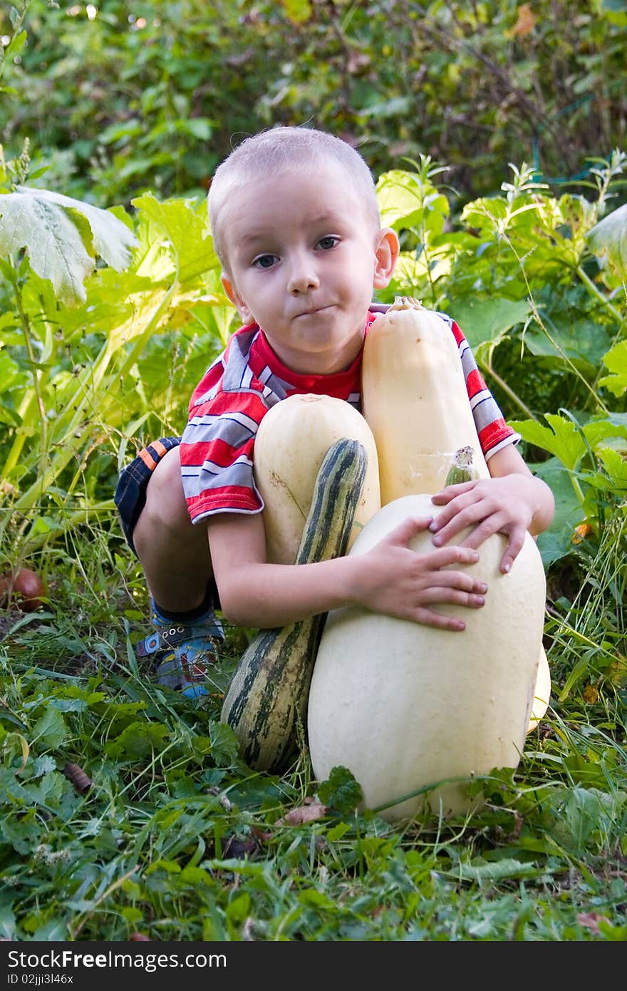 Boy with a harvest zucchini